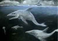 What the water hides